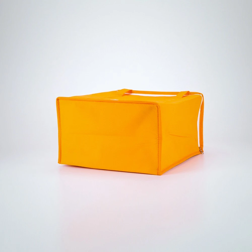 the Cheap Non-Woven cooler bags